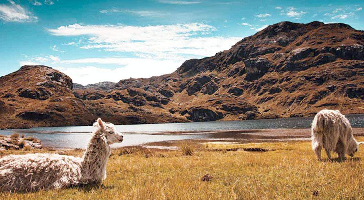 Cajas National Park