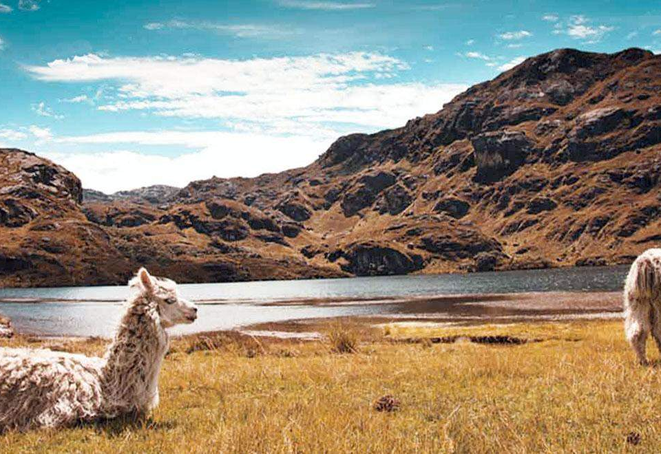 Cajas National Park