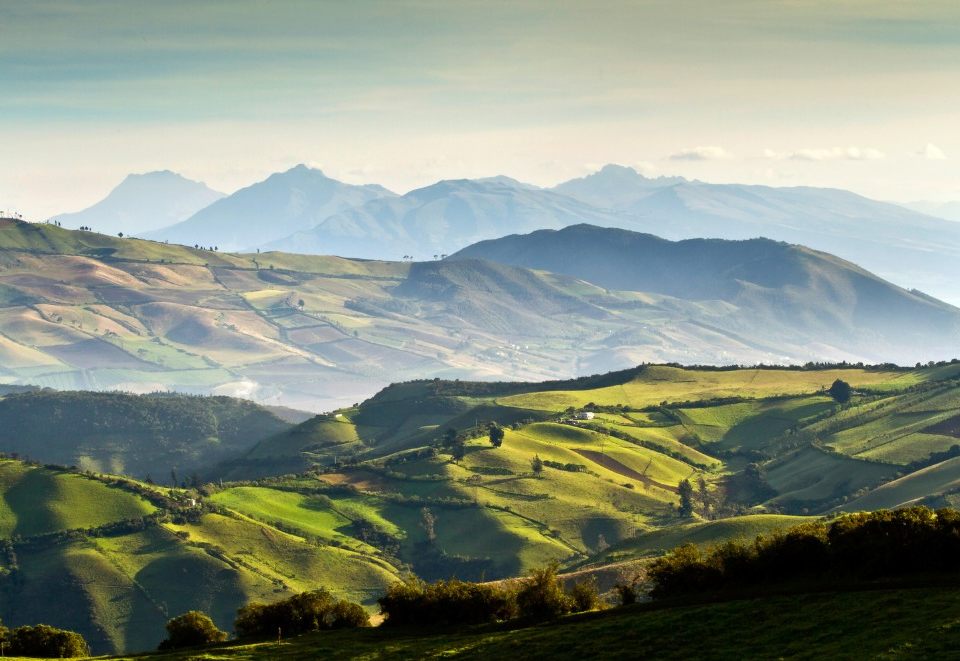 los andes ecuador