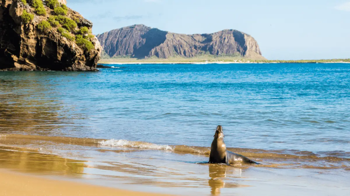 Galapagos Travel
