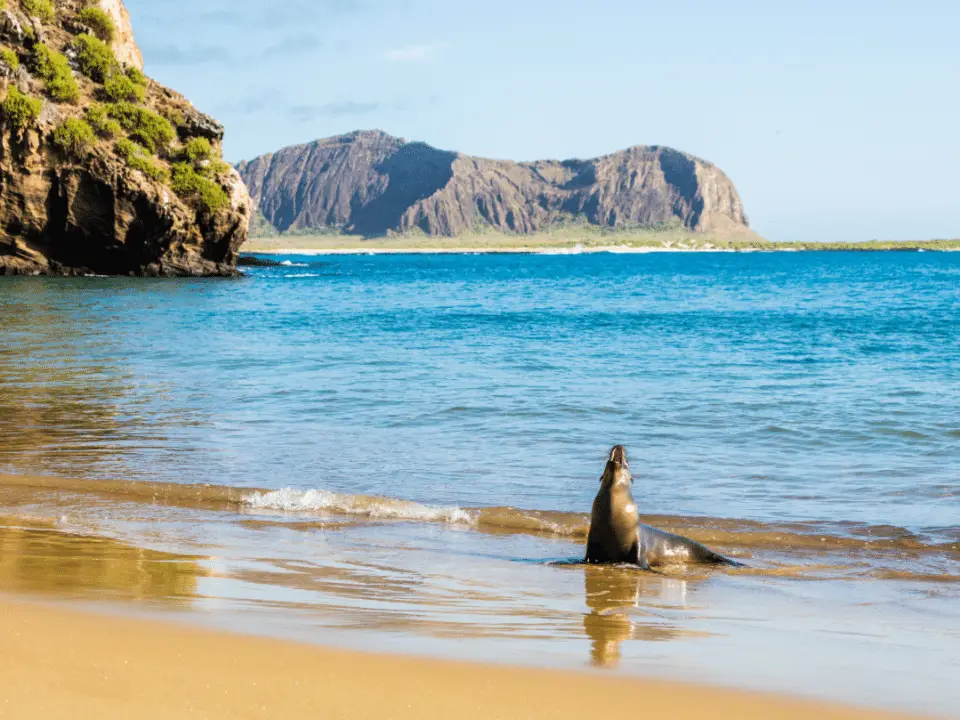 Galapagos Travel