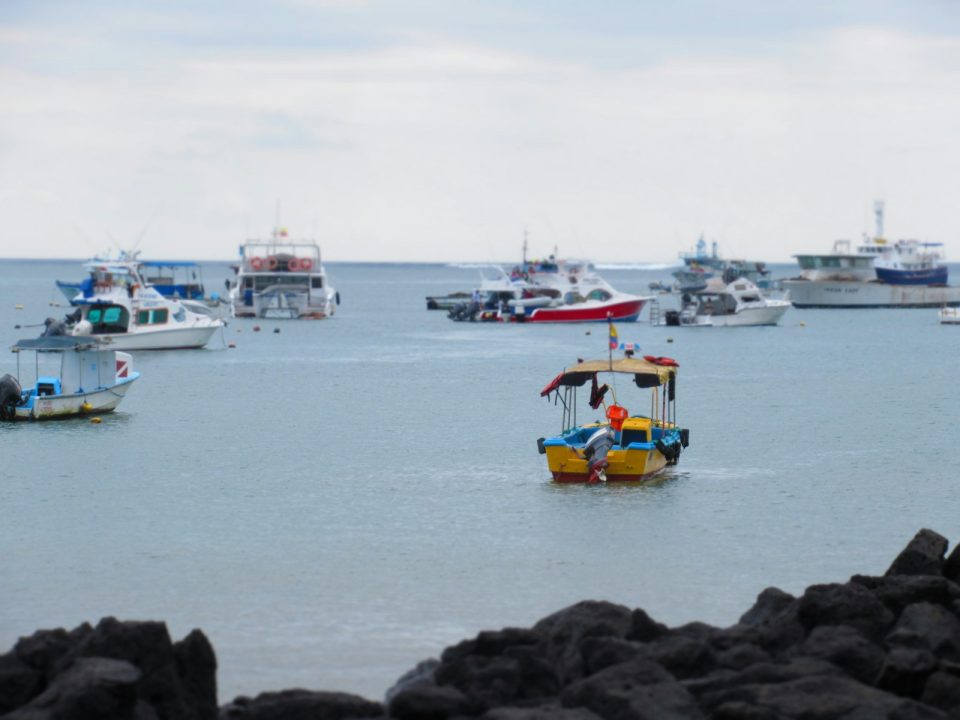 Ecuador travel packages